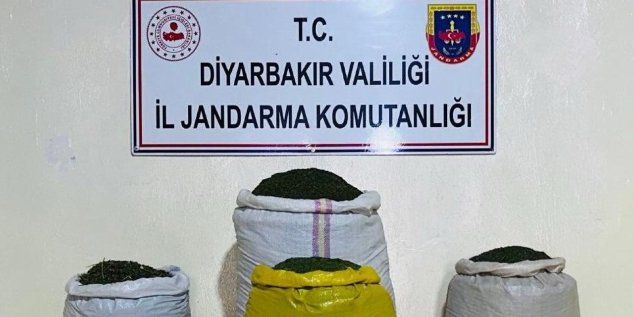 Diyarbakır’da 170 bin 500 kök kenevir ve 52 kilogram yasaklı madde ele geçirildi