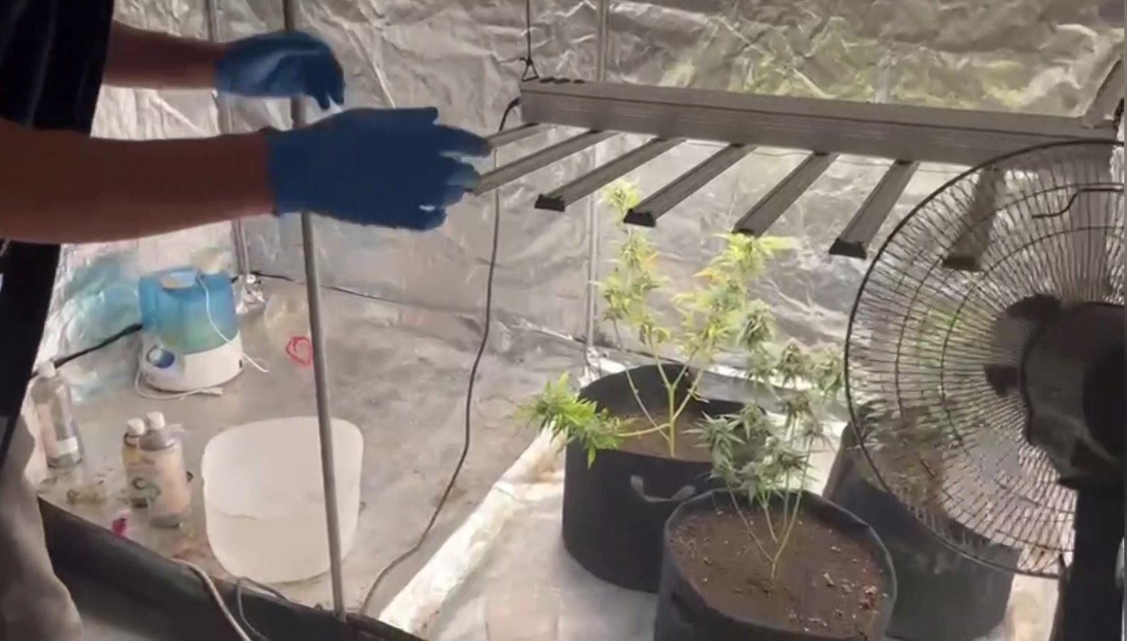 malatyada kilolarca kenevir ele gecirildi rcTpdncc