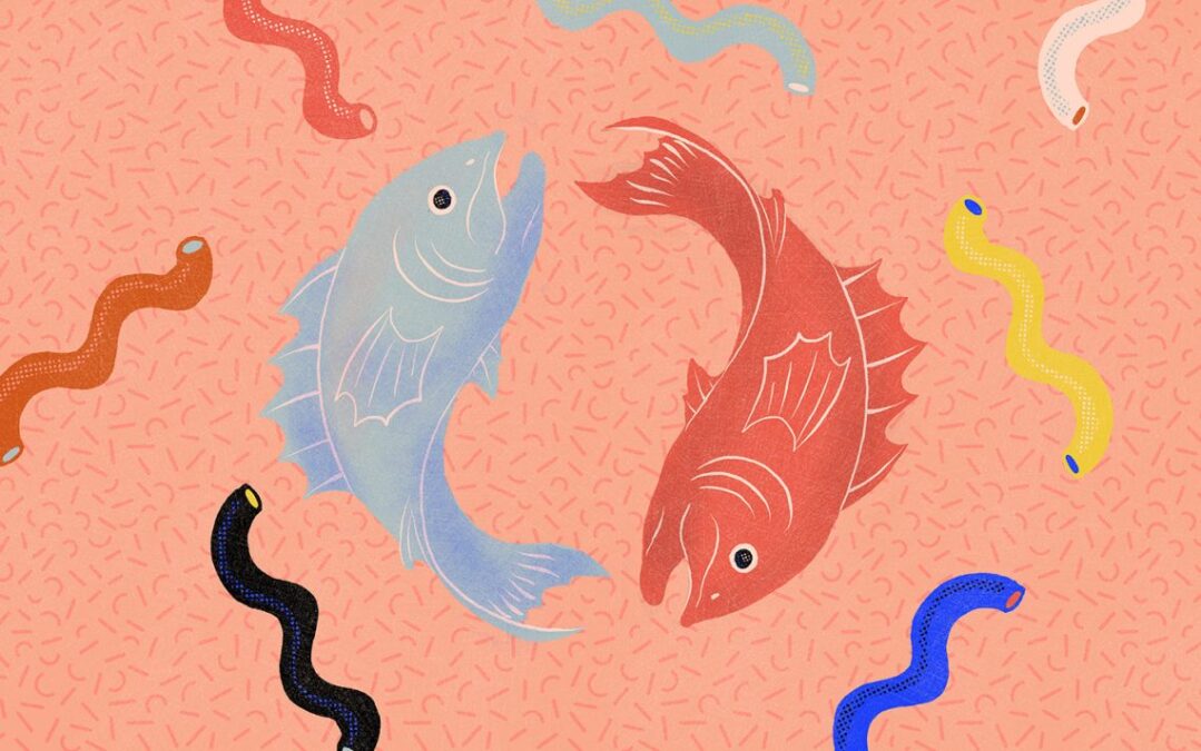 Balık burcu haftalık yorum