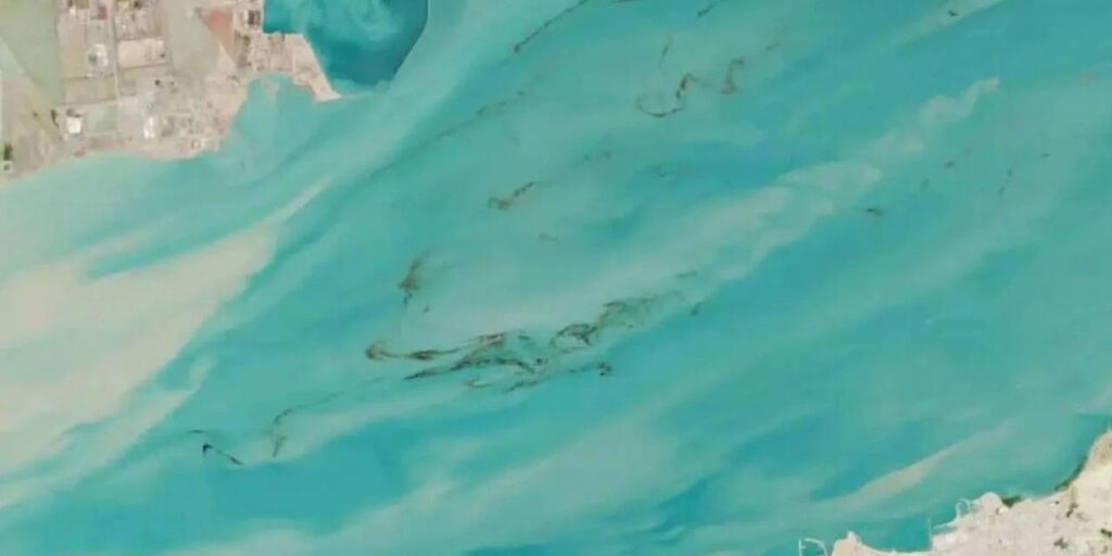 cevre-felaketi-kapida-hurmuzde-petrol-sizintisi-uyduya-yakalandi-2tSQZkKu